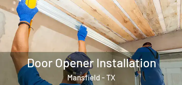 Door Opener Installation Mansfield - TX