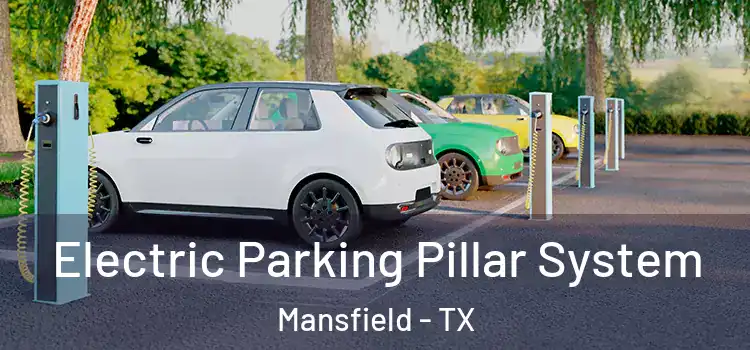 Electric Parking Pillar System Mansfield - TX