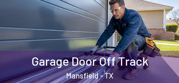  Garage Door Off Track Mansfield - TX