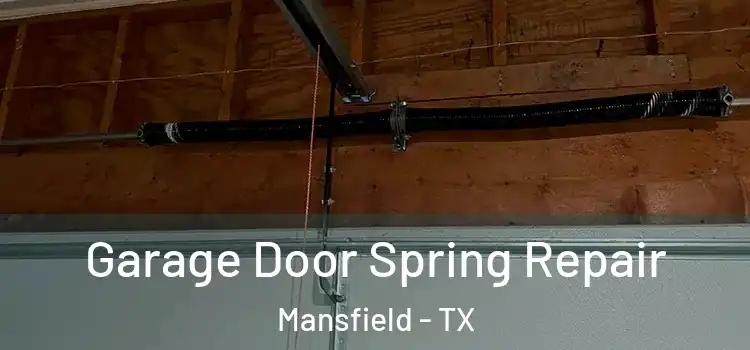  Garage Door Spring Repair Mansfield - TX